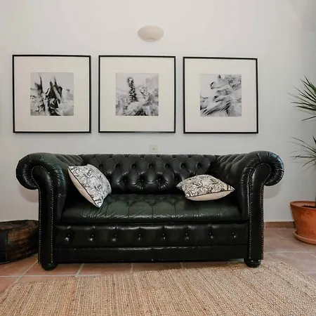 Villa Des Antiquaires Bédarieux Buitenkant foto